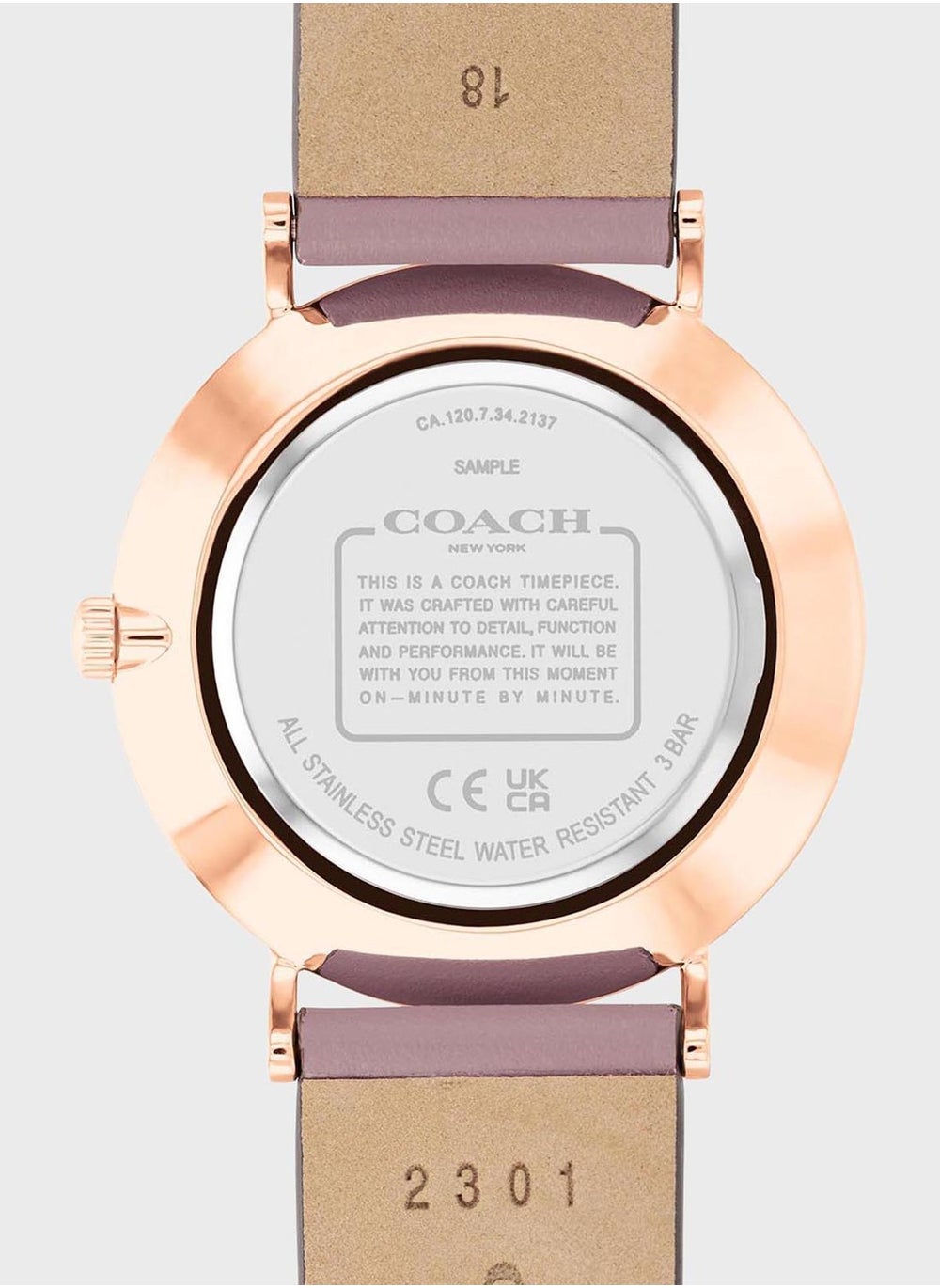 buy-coach-perry-mesh-strap-analog-watch_8td