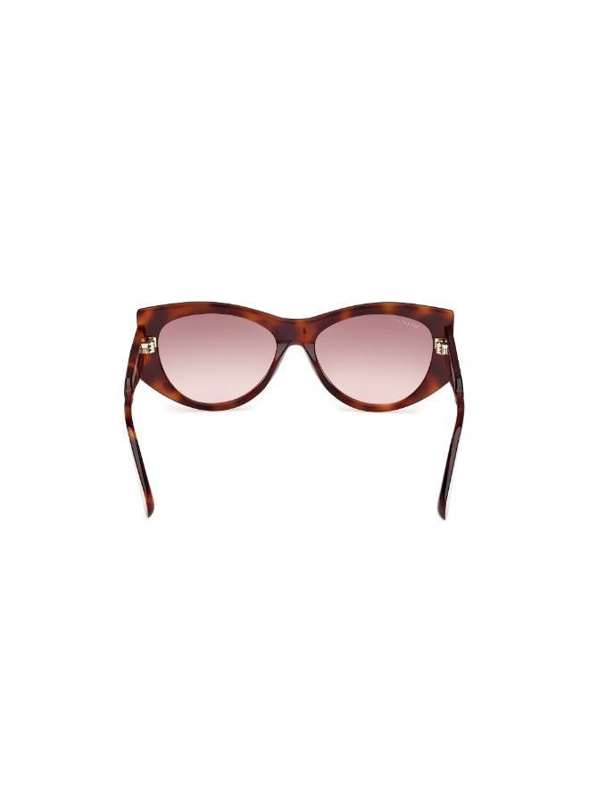 buy-maxco-wayfarers-sunglasses_z8z