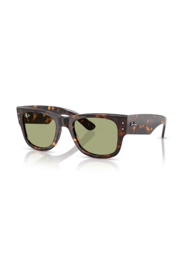 buy-ray-ban-ray-ban-havana-sunglasses_isv