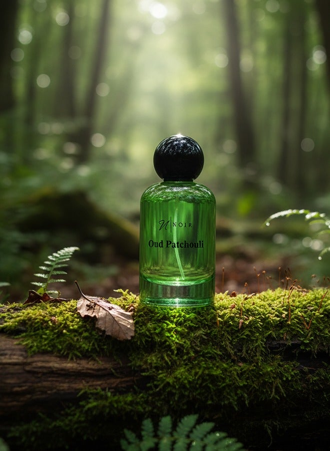 buy-noir-oud-patchouli-eau-de-parfum-100ml-long-lasting-luxury-oud-patchouli-and-musk-perfume-for-women_6yz
