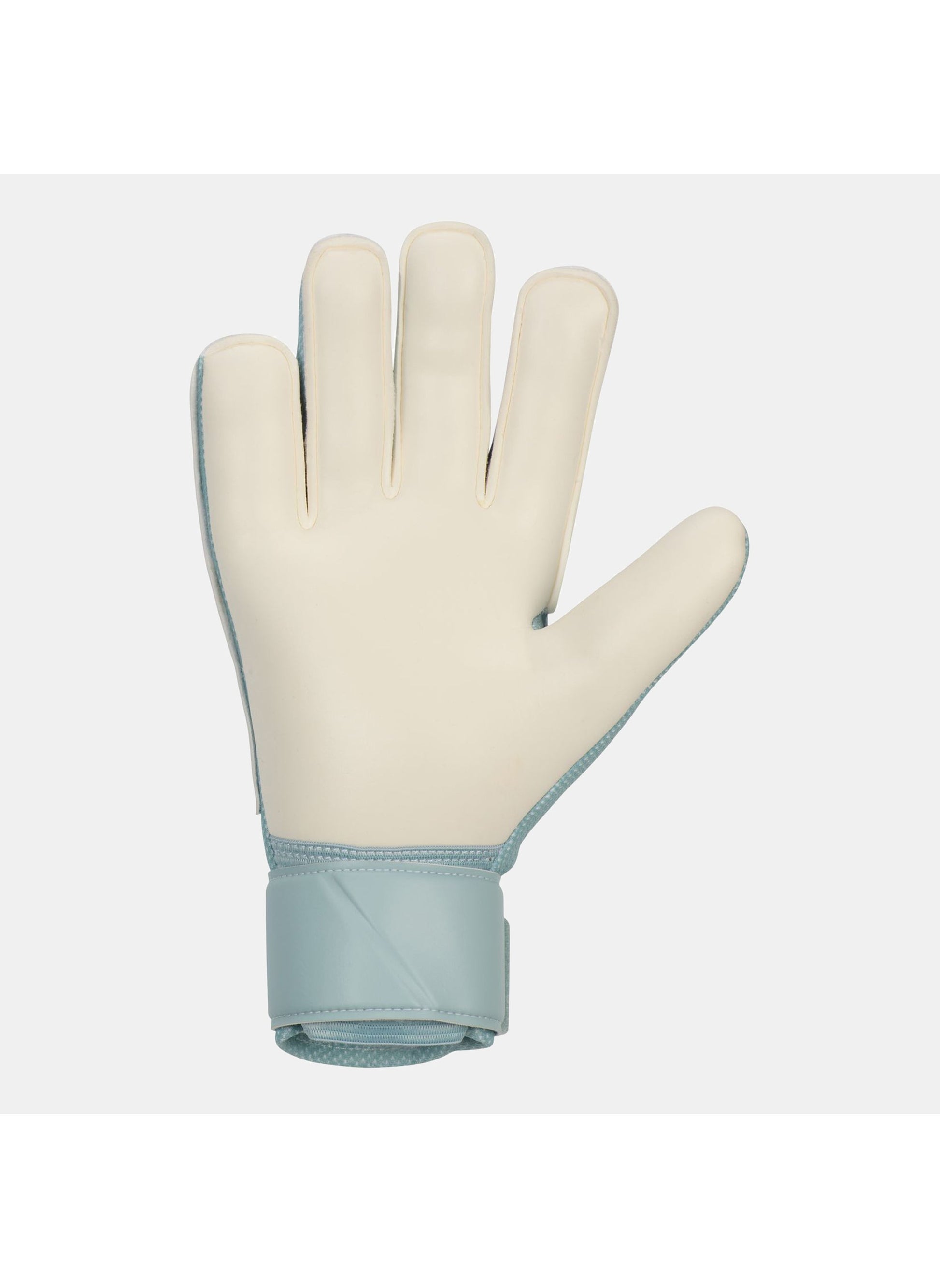 buy-nike-men-s-match-goalkeeper-gloves_9a5