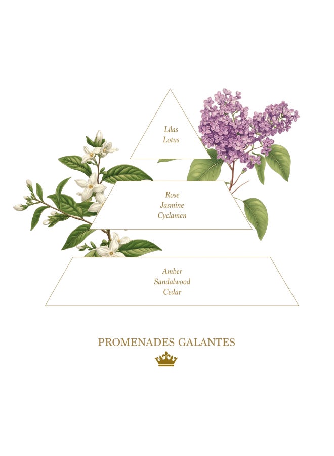 buy-la-savonnerie-royale-100g-promenades-galantes-soaps_nwz