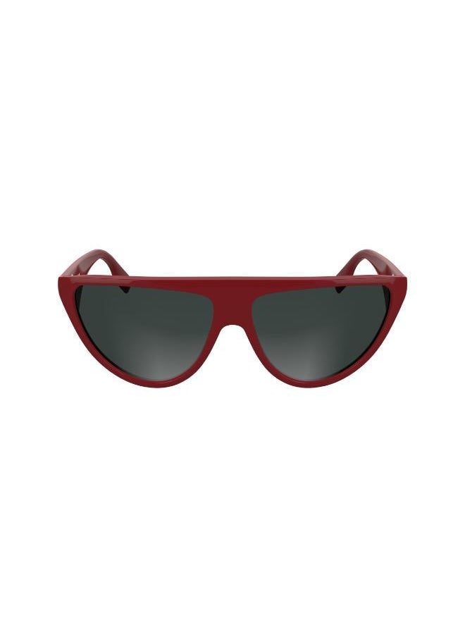 buy-karl-lagerfeld-cat-eye-sunglasses_kr1