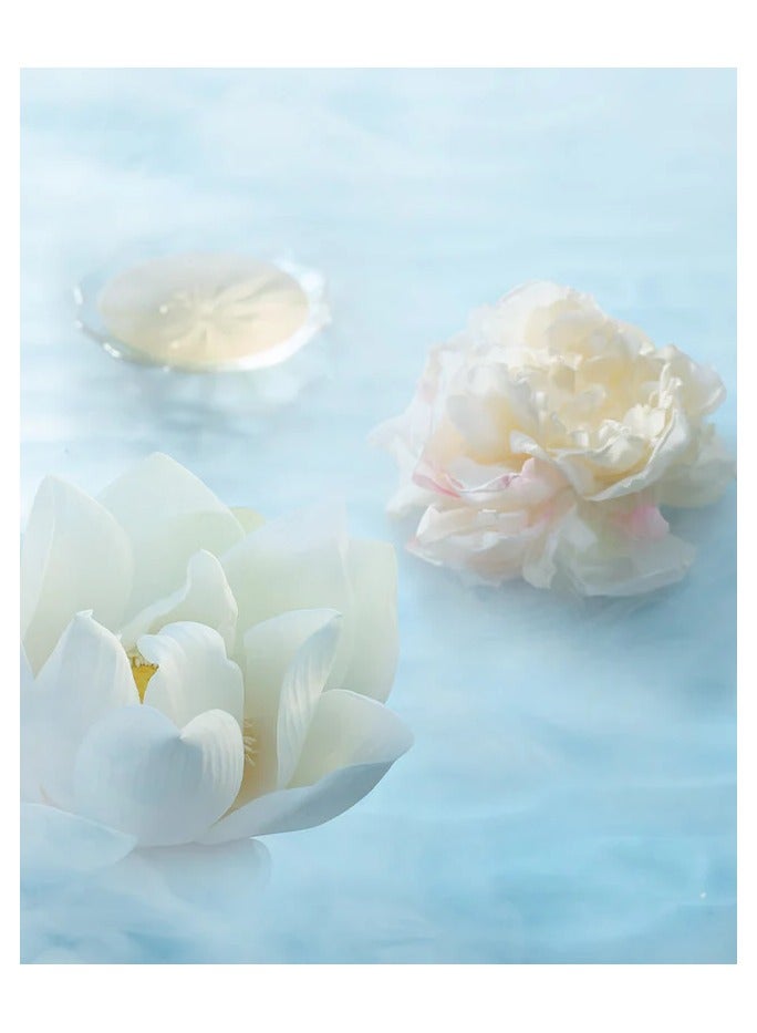 buy-florasis-florasis-twin-lotus-relief-luminous-glow-highlighter-01-quartz-glow_hqo