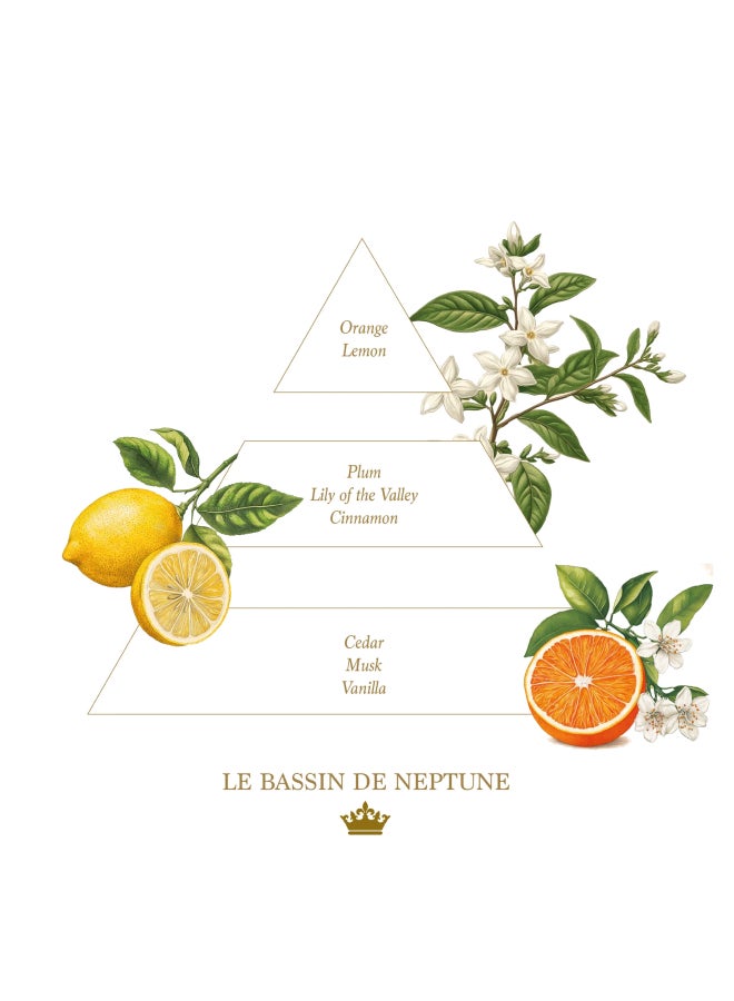 buy-la-savonnerie-royale-liquid-hand-soap-refill-bottle-1l-xiv_1oj