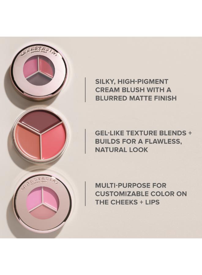 buy-anastasia-beverly-hills-magic-touch-blush-trio_ecc
