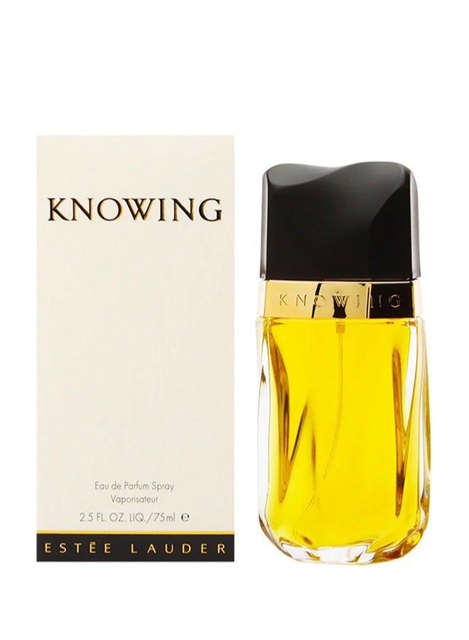buy-estee-lauder-knowing-spray-edp-75ml_0zm