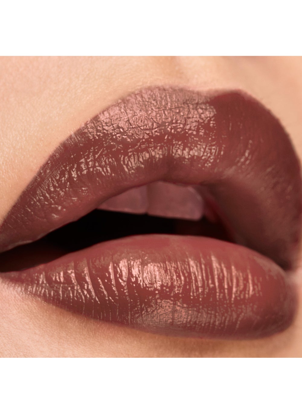 buy-elizabeth-arden-lip-color-lipstick-ambitious-mauve_8mu