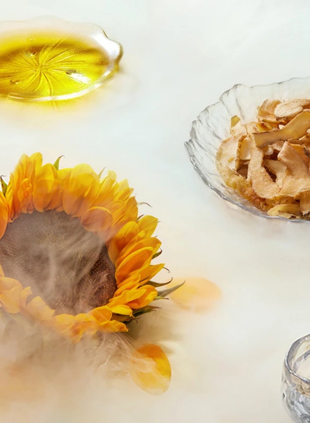 buy-florasis-florasis-floral-care-hydrating-dual-lip-oil_o0o