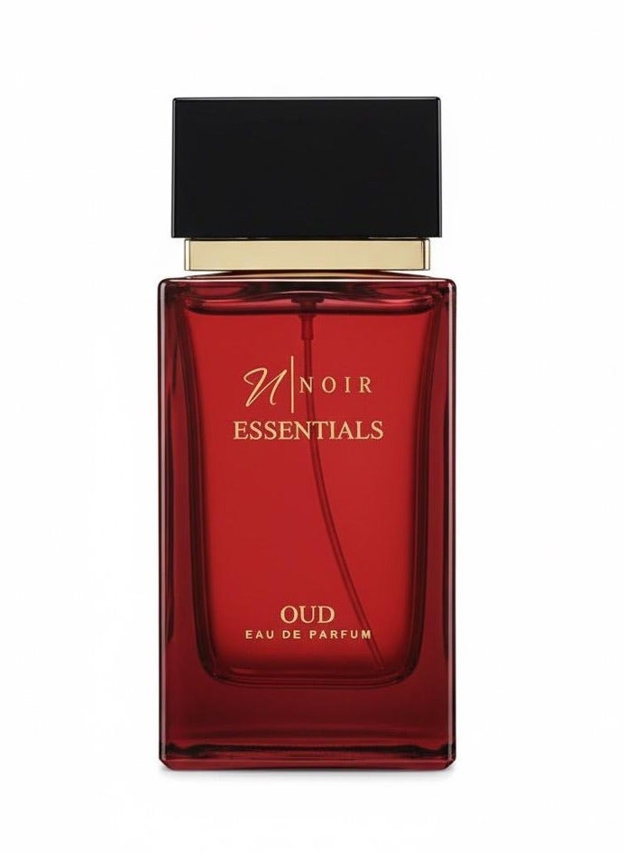 buy-noir-essentials-oud-eau-de-parfum-for-men-80ml_7c0