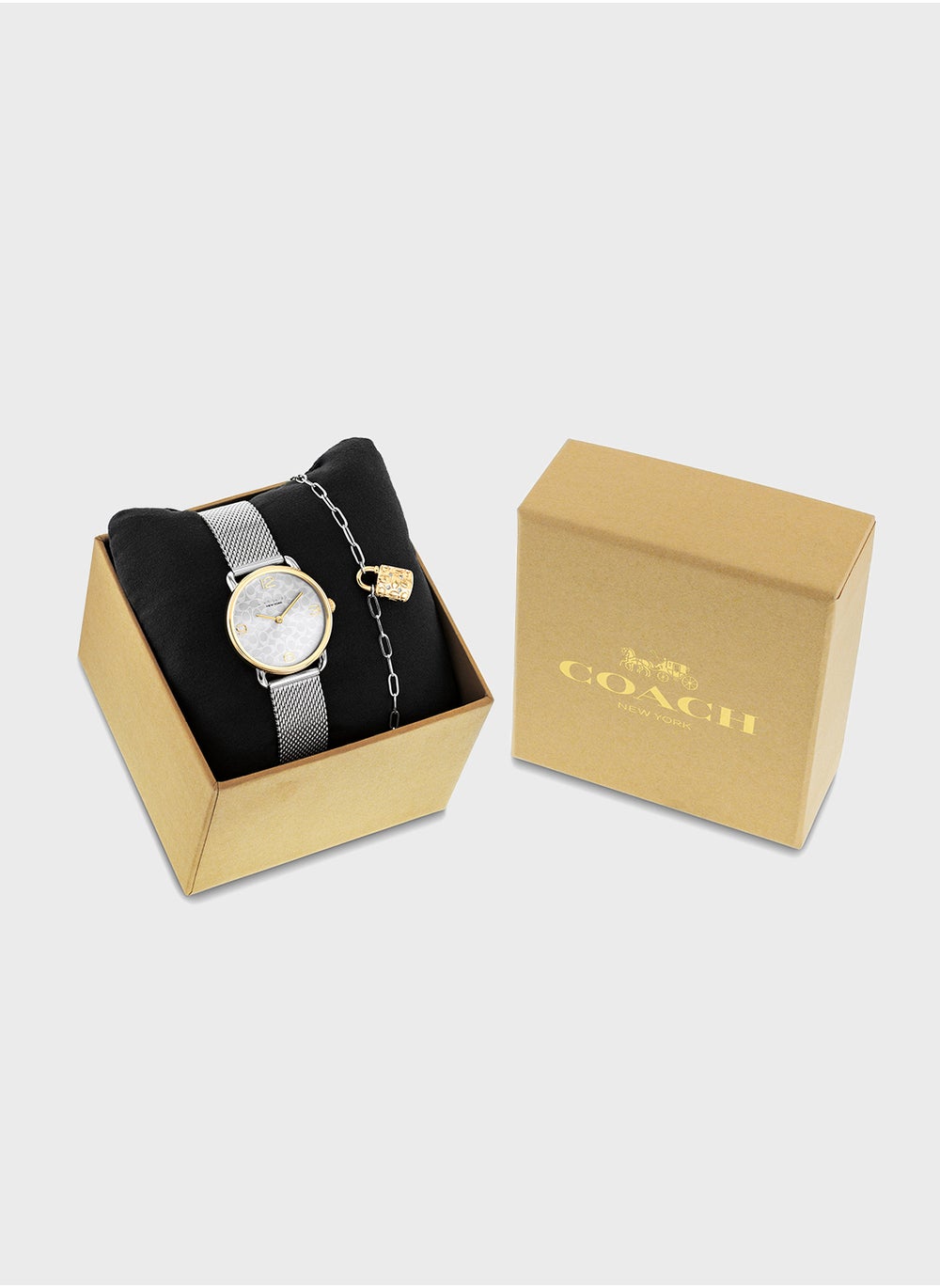 buy-coach-elliot_bye