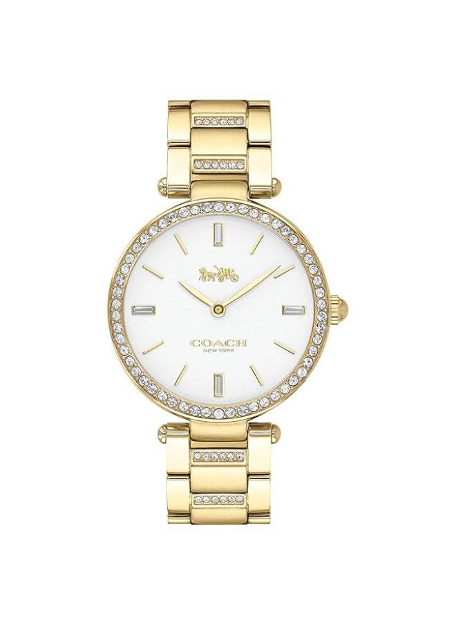 buy-coach-park-watch_ve7