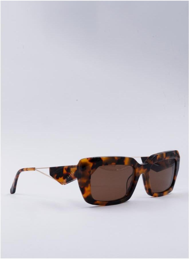 buy-ted-baker-marcie-square-sunglasses_2ya