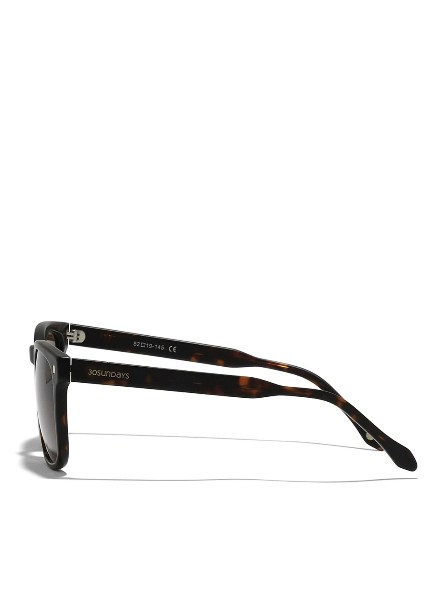 buy-30sundays-30sundays-maestro-men-s-sunglasses-tortoise-brown_9ps