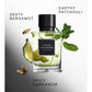 DAVID BECKHAM Instinct 75ml Eau de Parfum for Men