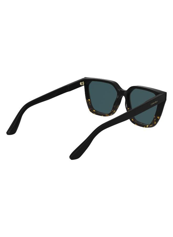 buy-calvin-klein-modified-rectangle-sunglasses_utf