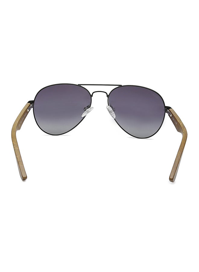 buy-titan-titan-aviator-men-sunglasses_2lu