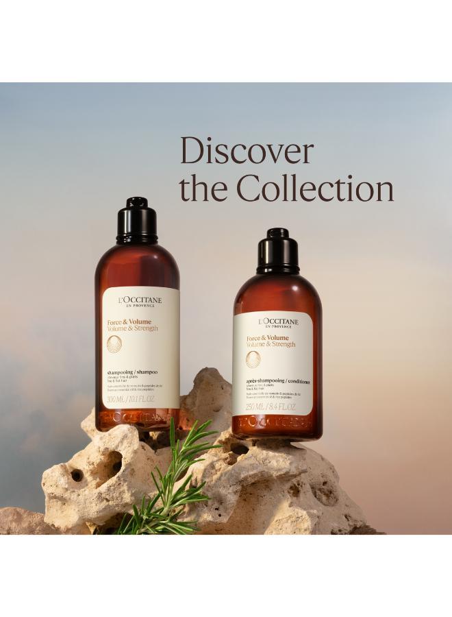 buy-l-occitane-l-occitane-volume-strength-shampoo-500ml-refill_yim
