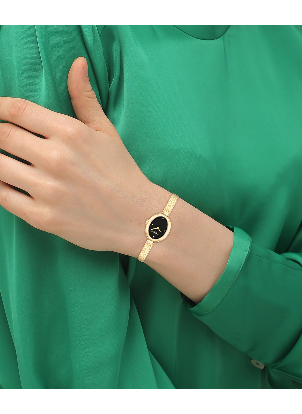 buy-coach-sammy-steel-strap-analog-watch_5th