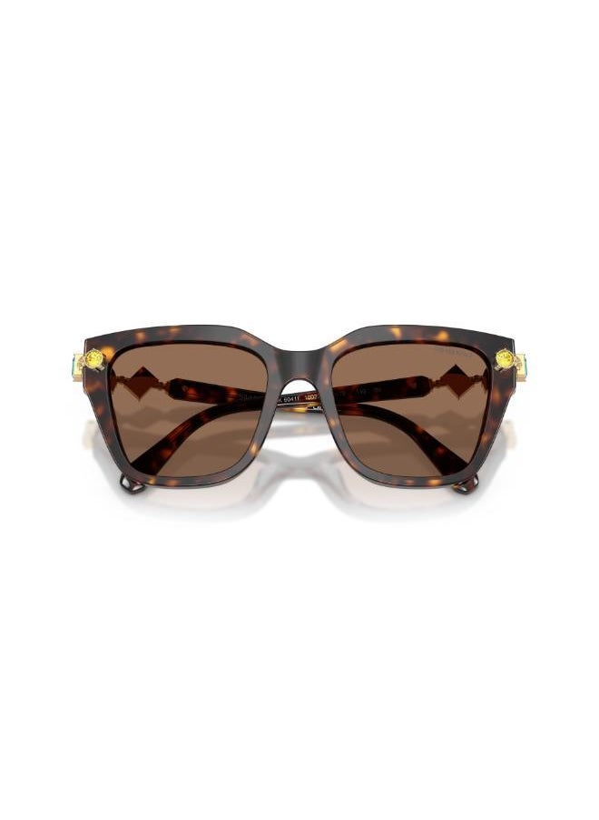 buy-swarovski-havana-frames-sunglasses_8n4