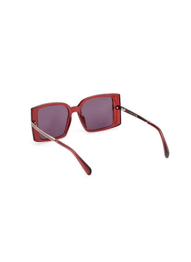 buy-maxco-injected-shaped-sunglasses_jgo