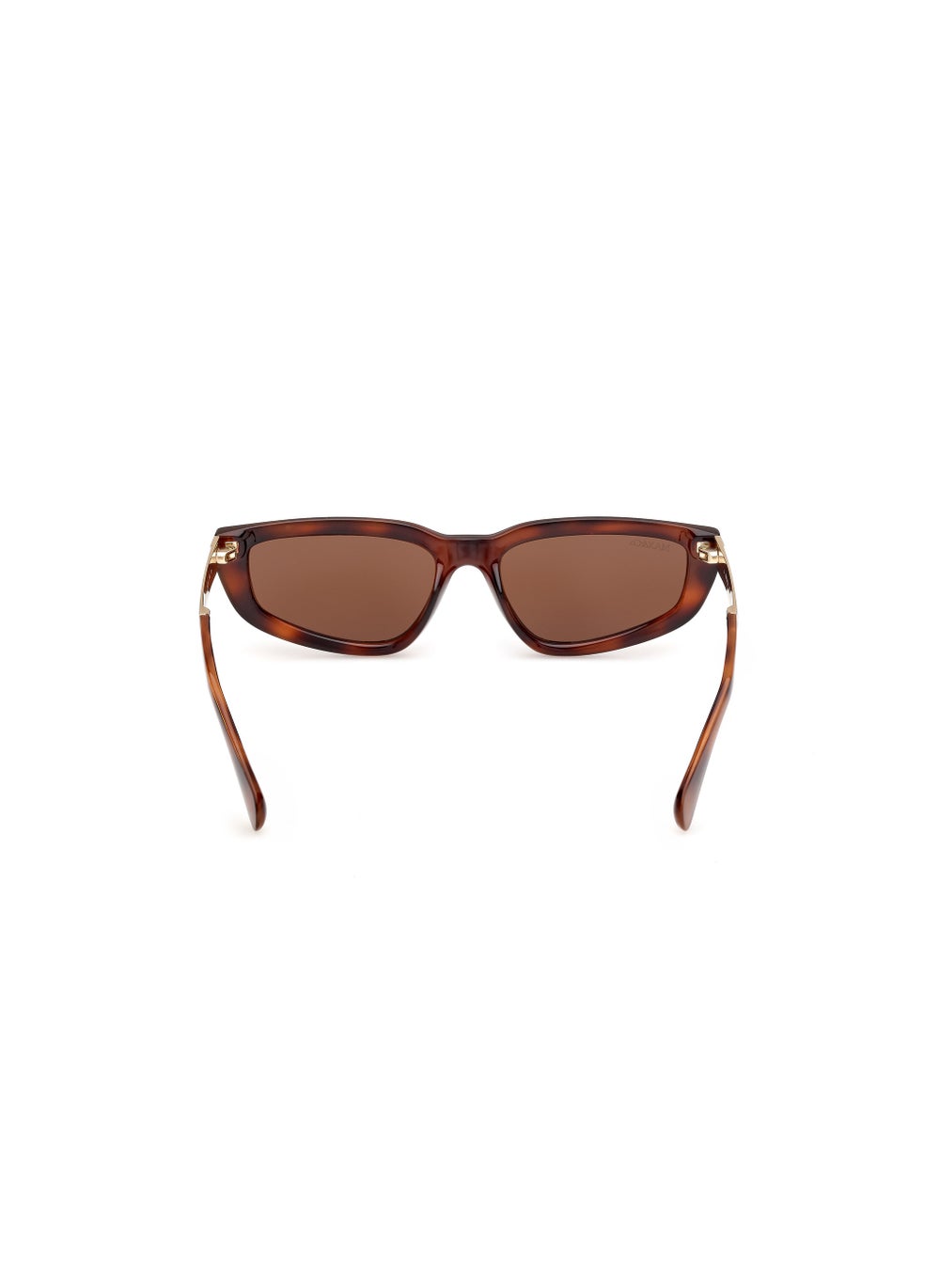 buy-maxco-cateye-sunglasses_zam