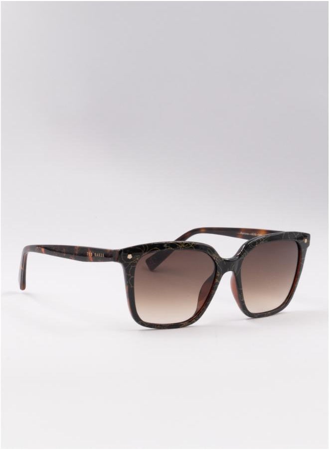 buy-ted-baker-ramona-square-sunglasses_7zd
