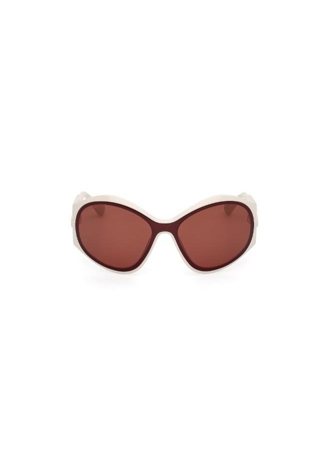 buy-maxco-injected-shaped-sunglasses_lak