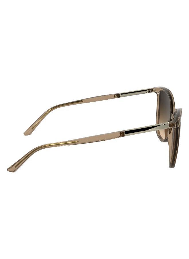 buy-calvin-klein-butterfly-sunglasses_i88