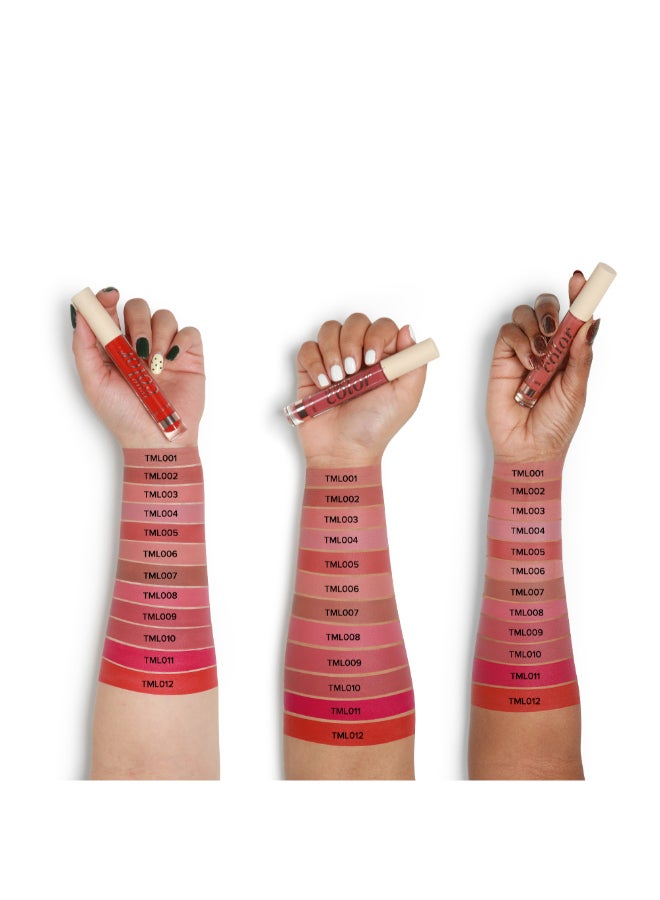 buy-character-true-color-matte-lip-paint_q09