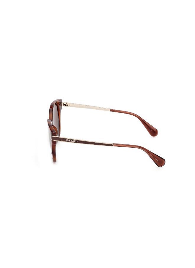 buy-maxco-injected-shaped-sunglasses_3w1