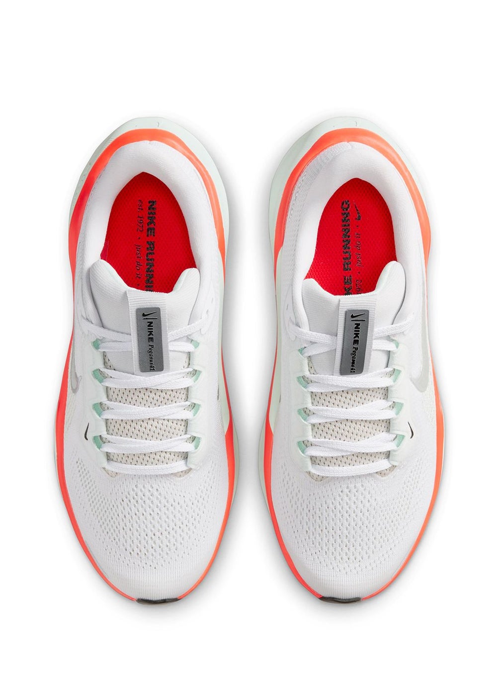 buy-nike-nike-pegasus-41_it8