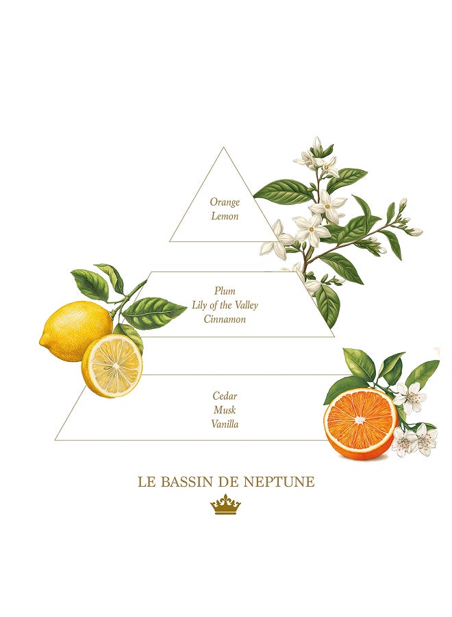 buy-la-savonnerie-royale-set-of-3-soaps-ndeg1_ij2