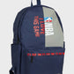 buy-defacto-nba-licensed-backpack_wfg