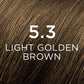 buy-phyto-phytocolor-5-3-light-golden-brown_e47