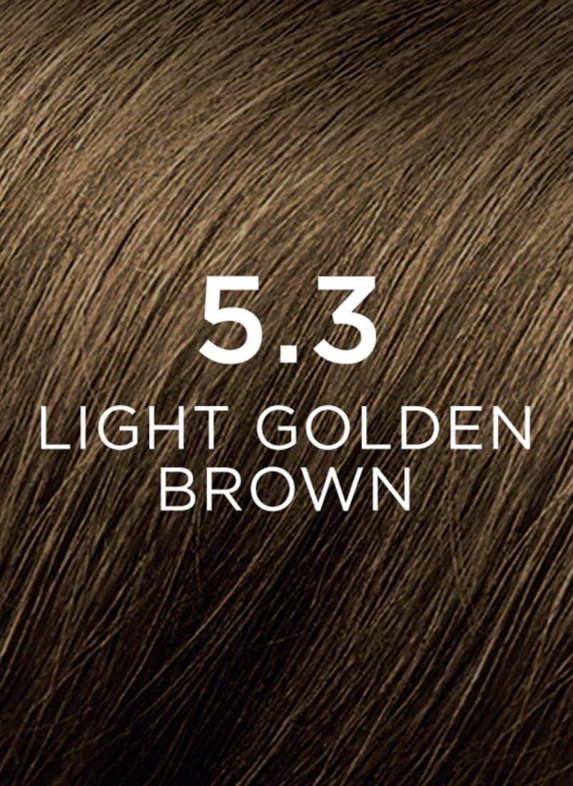 buy-phyto-phytocolor-5-3-light-golden-brown_e47