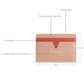 buy-veganologie-cider-apple-leather-multi-slot-card-holder-vegan-leather_ah2