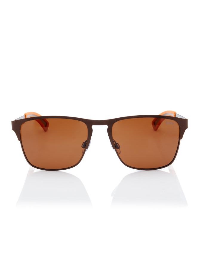 buy-lee-cooper-polarized-sunglasses-brown-frame-brown-mirror-lens-56mm-lc1222c02_wfn