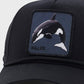 buy-goorin-bros-killer-whale-100-curved-peak-cap_6hw