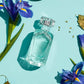 Tiffany Signature Eau De Parfum 50ml - Radiant Sophistication