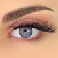 AL MAHA Lush Volumising Lashes - Lasts up to 15 Wears