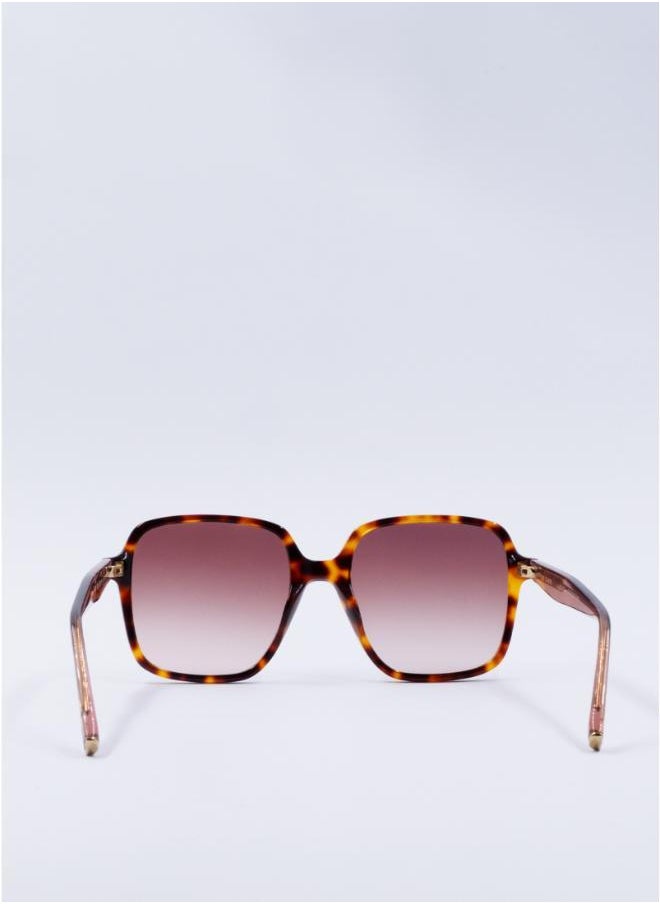 buy-ted-baker-romey-square-sunglasses_prf