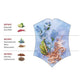 Forget Me Not For Her EDT 100ml - Enchanting Aroma