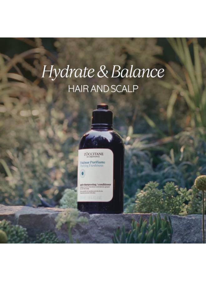 buy-l-occitane-l-occitane-purifying-freshness-conditioner-500ml_zes