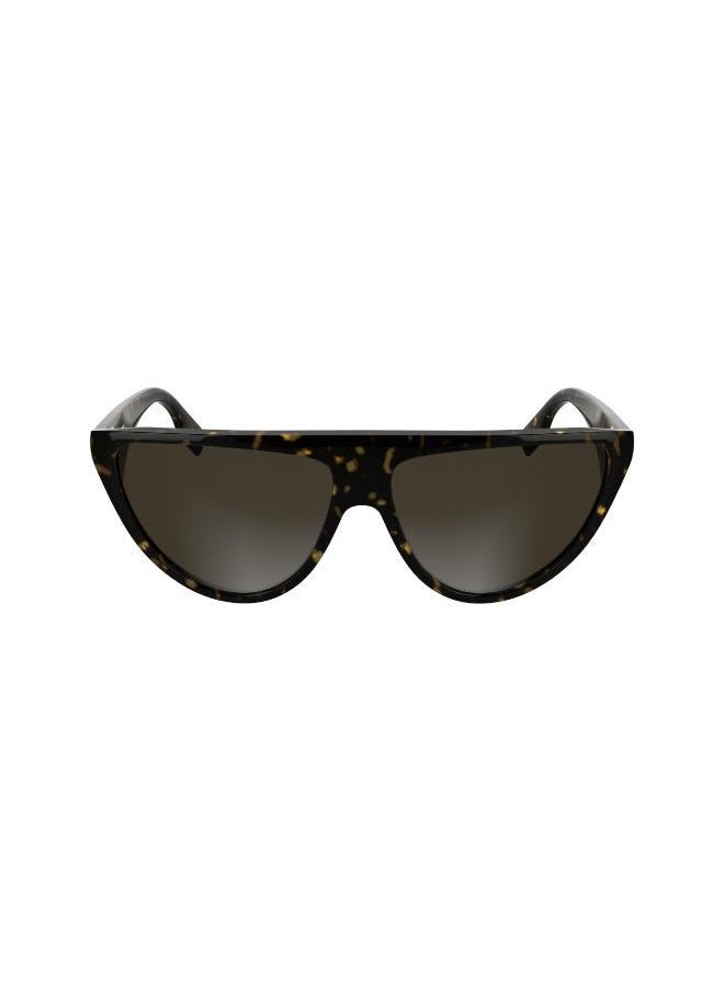 buy-karl-lagerfeld-cat-eye-sunglasses_08o