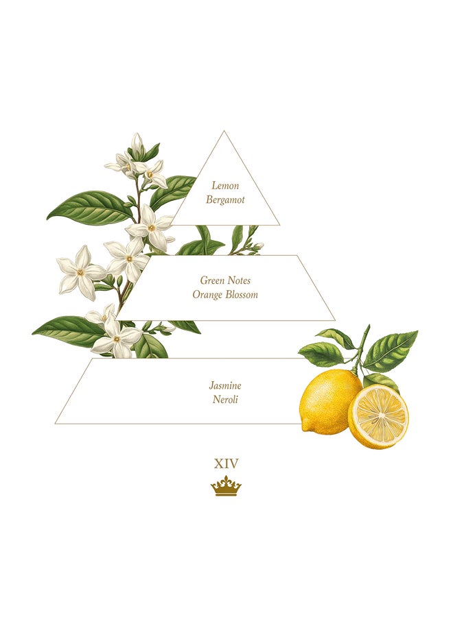 buy-la-savonnerie-royale-100g-xiv-soaps_nkx