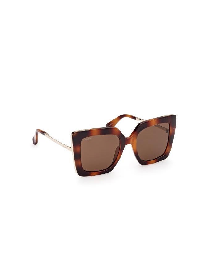buy-max-mara-injected-shaped-sunglasses_2lp