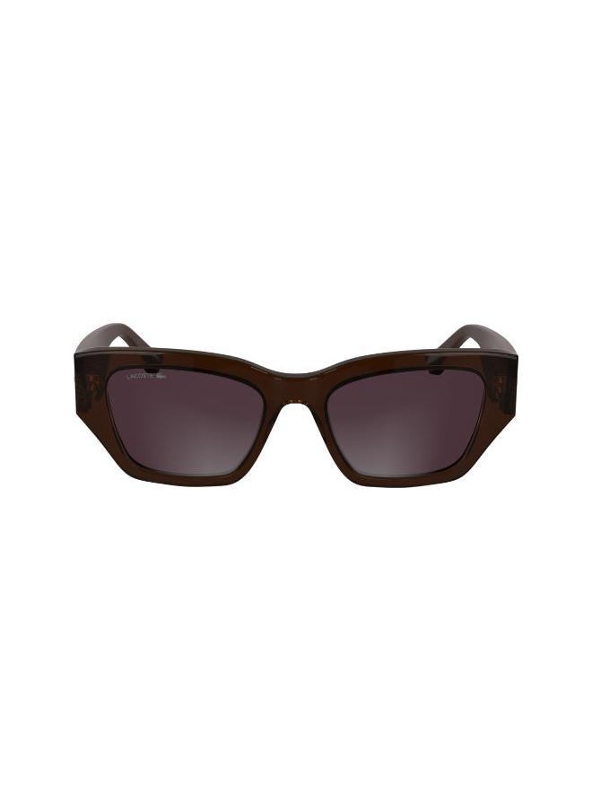 buy-lacoste-butterfly-sunglasses_3yy