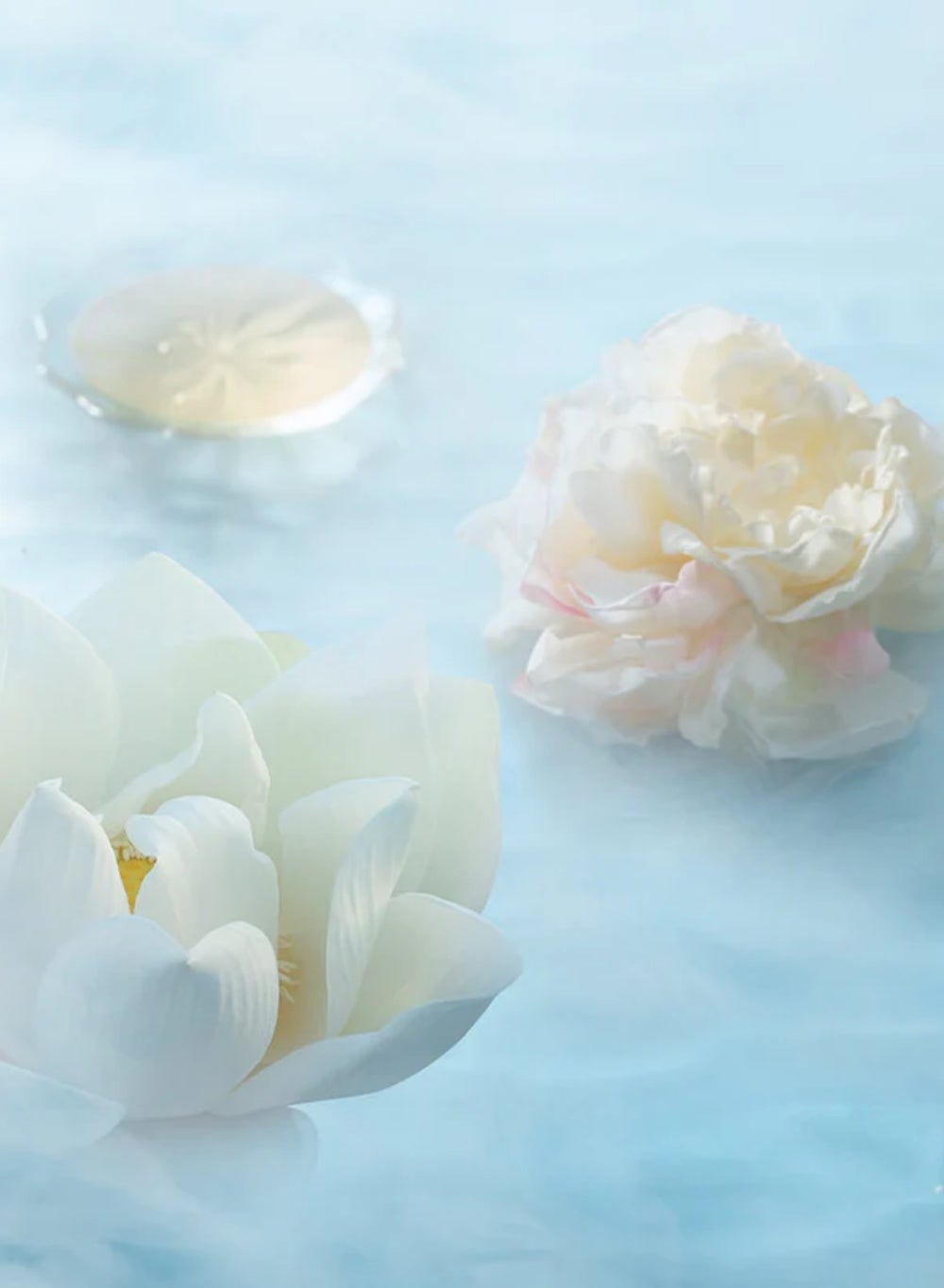 buy-florasis-florasis-twin-lotus-relief-luminous-glow-highlighter-02-amber-glow_qrx