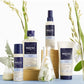 Phyto Softness Dry Shampoo 75ml - Refresh & Volumize